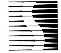 S trademark