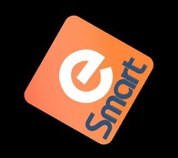 E SMART trademark