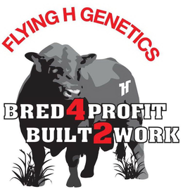 FLYING H GENETICS H BRED4PROFIT BUILT2WORK trademark