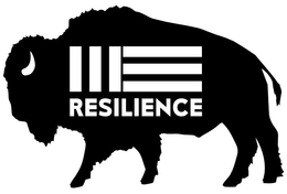 RESILIENCE trademark