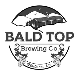 BALD TOP BREWING CO. MADISON, VA trademark