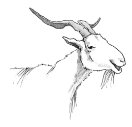 LogoMark trademark