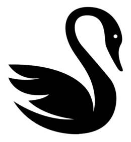 S trademark