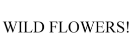 WILD FLOWERS! trademark