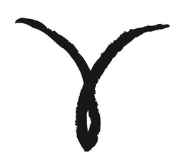 Y trademark