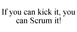 IF YOU CAN KICK IT, YOU CAN SCRUM IT! trademark