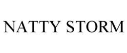 NATTY STORM trademark