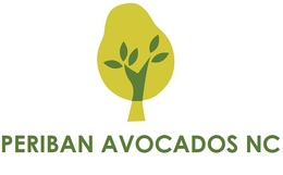 PERIBAN AVOCADOS NC trademark