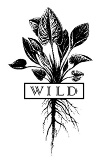 WILD trademark