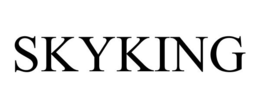 SKYKING trademark