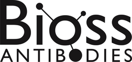 BIOSS ANTIBODIES trademark