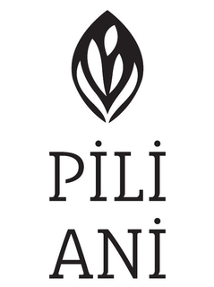 PILI ANI trademark