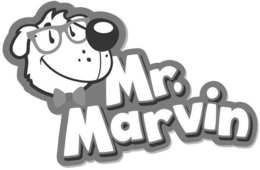 MR. MARVIN trademark