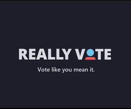 REALLY VOTE VOTE LIKE YOU MEAN IT trademark