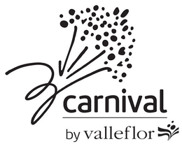 CARNIVAL BY VALLEFLOR trademark