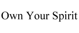 OWN YOUR SPIRIT trademark