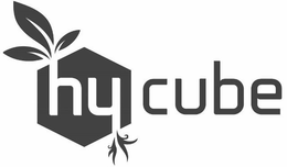HY CUBE trademark