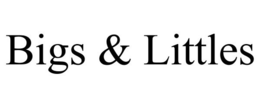 BIGS & LITTLES trademark