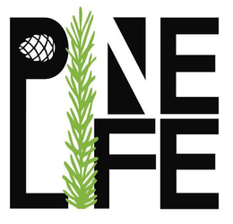 PINE LIFE trademark