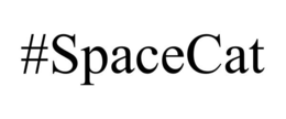 #SPACECAT trademark