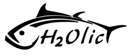 H2OLIC trademark