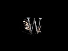 W trademark