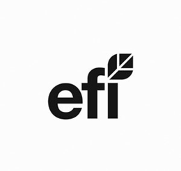 E F I trademark