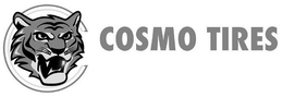 C COSMO TIRES trademark