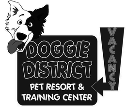 DOGGIE DISTRICT PET RESORT & TRAINING CENTER VACANCY trademark