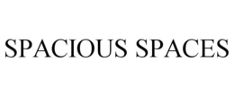 SPACIOUS SPACES trademark