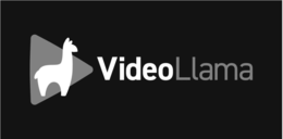 VIDEOLLAMA trademark
