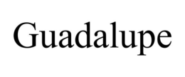 GUADALUPE trademark