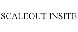 SCALEOUT INSITE trademark