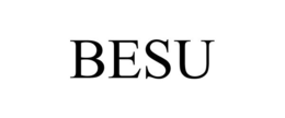 BESU trademark
