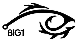 BIG1 trademark