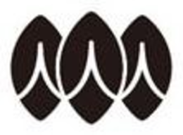 V trademark