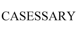 CASESSARY trademark