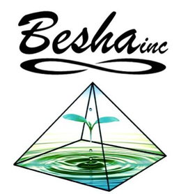 BESHA INC trademark