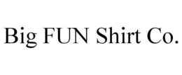BIG FUN SHIRT CO. trademark