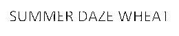 SUMMER DAZE WHEAT trademark