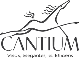 CANTIUM VELOX, ELEGANTES, ET EFFICIENS trademark