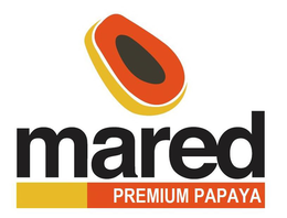 MARED PREMIUM PAPAYA trademark