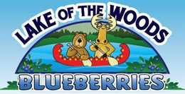 LAKE OF THE WOODS BLUEBERRIES trademark