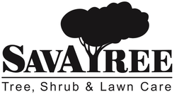 SAVA REE TREE, SHRUB & LAWN CARE trademark