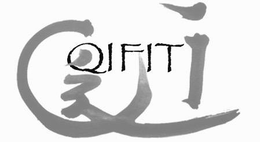 QI QIFIT trademark