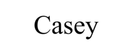 CASEY trademark