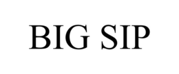 BIG SIP trademark