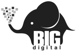 BIG DIGITAL trademark