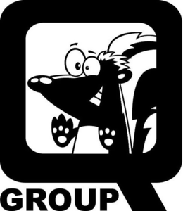 Q GROUP trademark