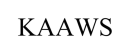 KAAWS trademark